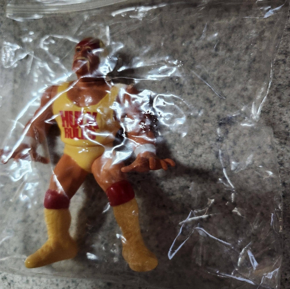 WWE WWF Hulk Rules Series 1 Action Figure Hasbro Loose - Picture 3 of 5